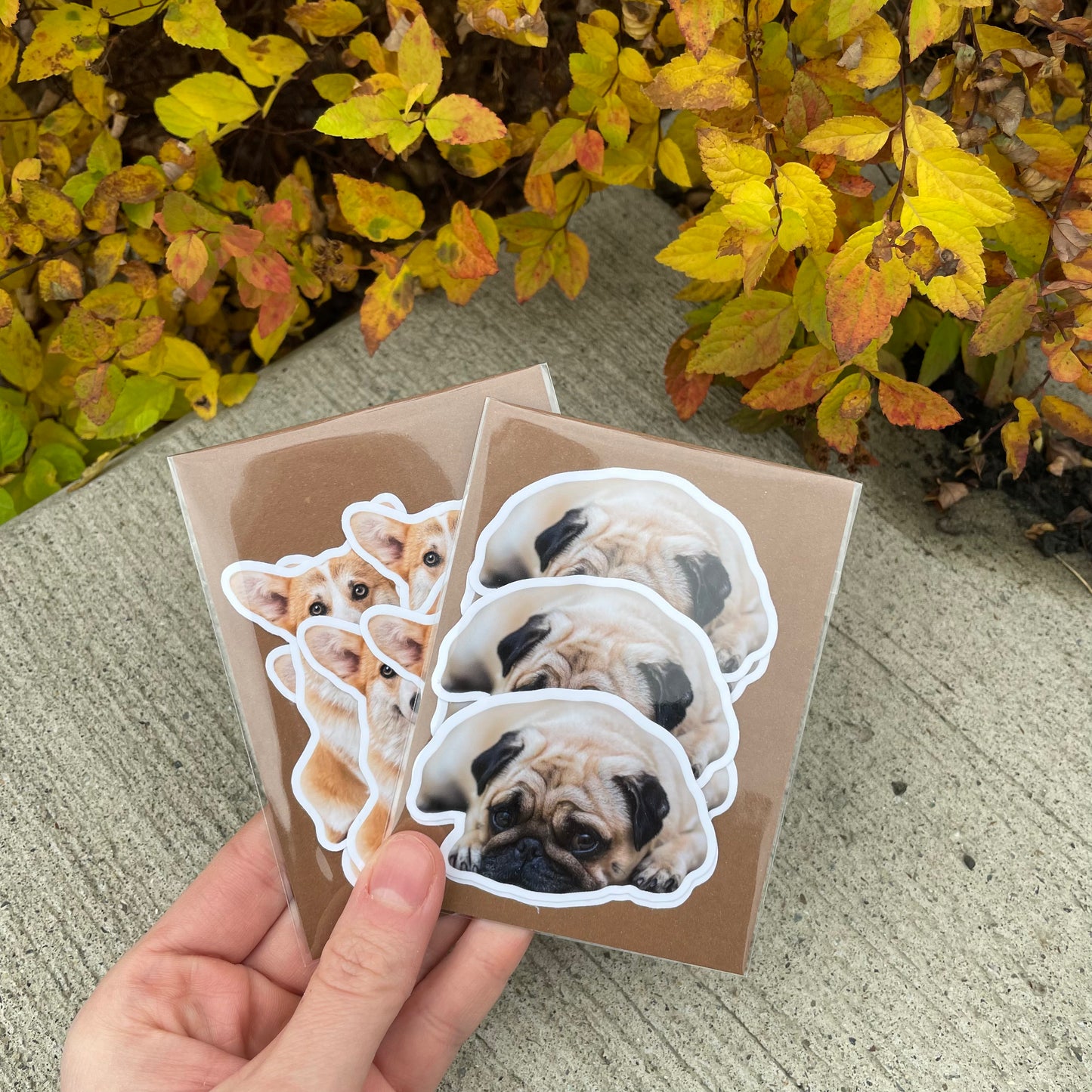 Custom Pet Stickers