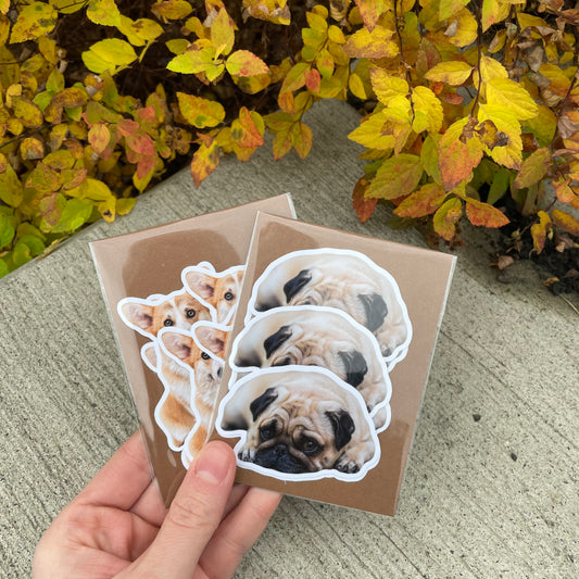 Custom Pet Stickers