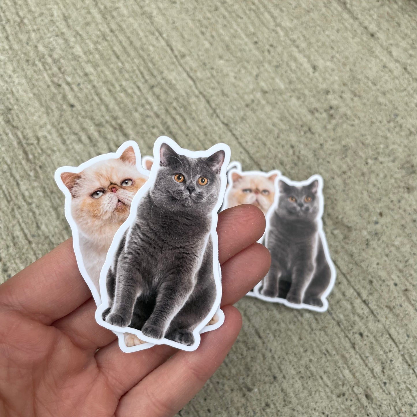 Custom Pet Stickers