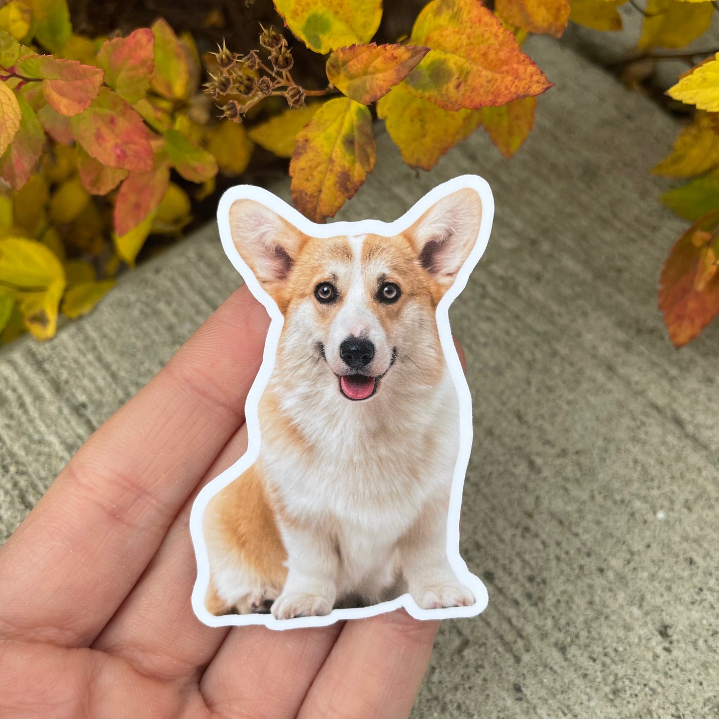 Custom Pet Stickers