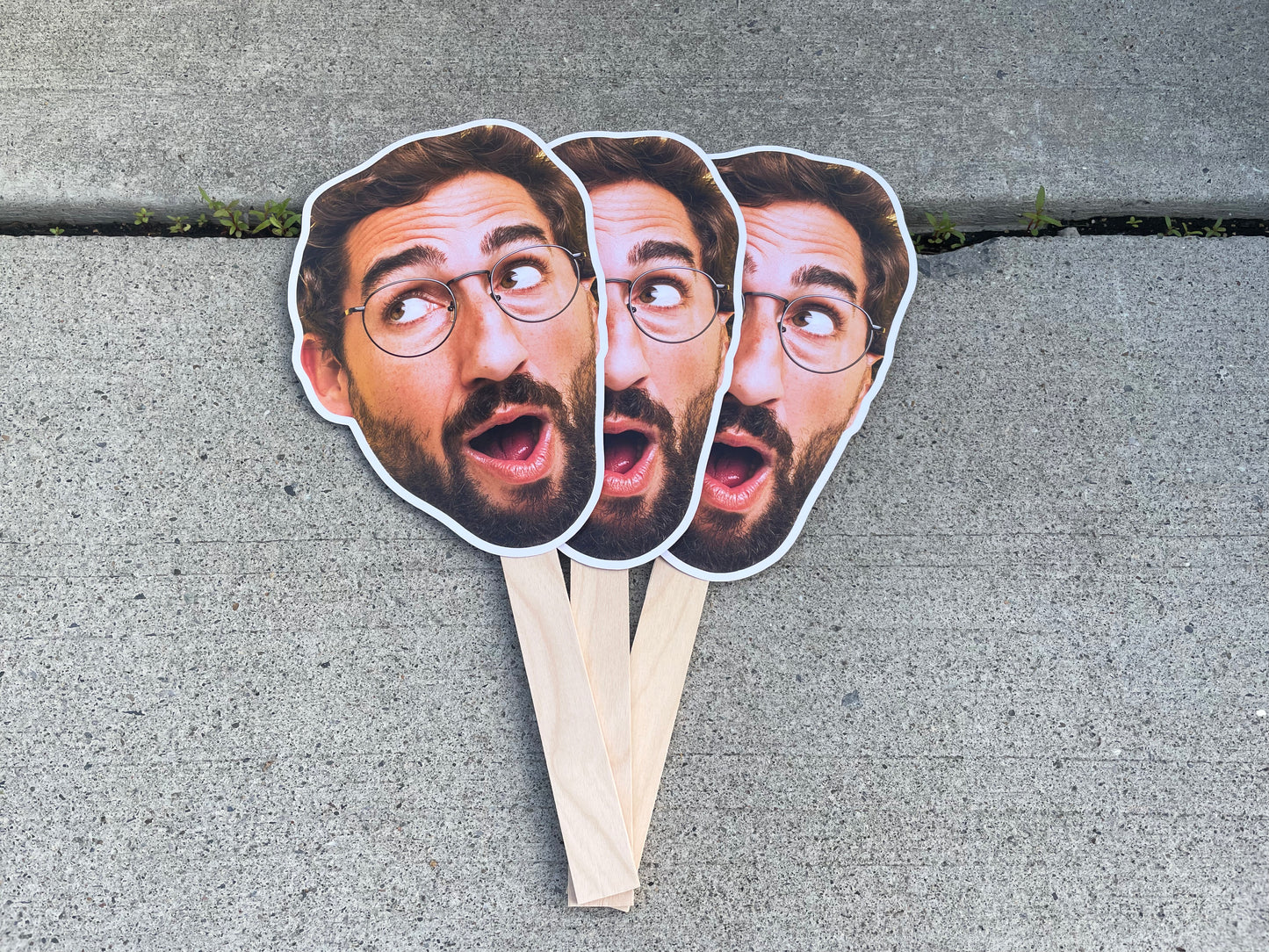 8" Custom Face Fan