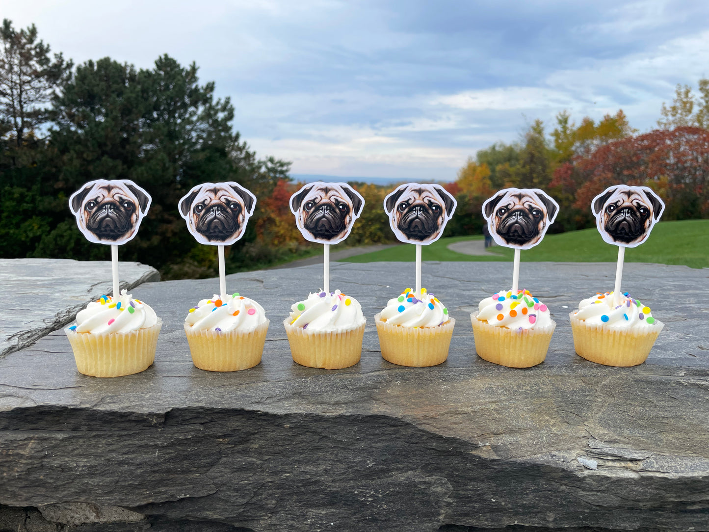 Custom Face Cupcake Toppers