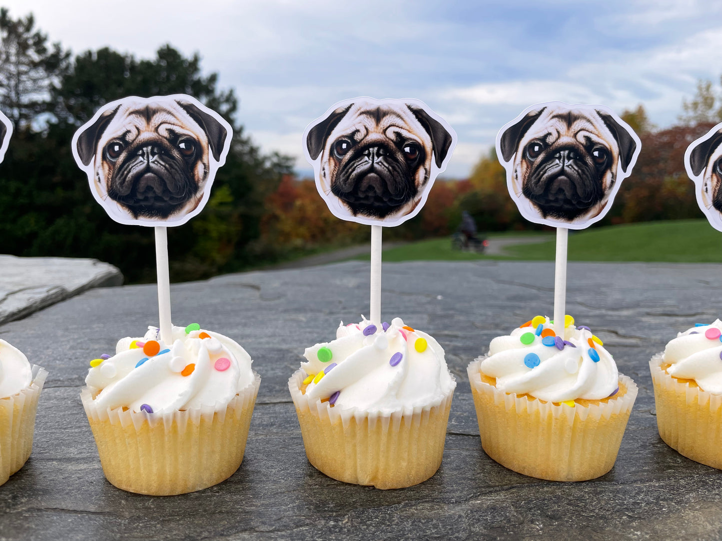 Custom Face Cupcake Toppers