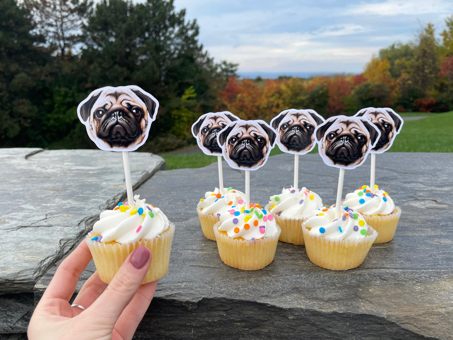 Custom Face Cupcake Toppers